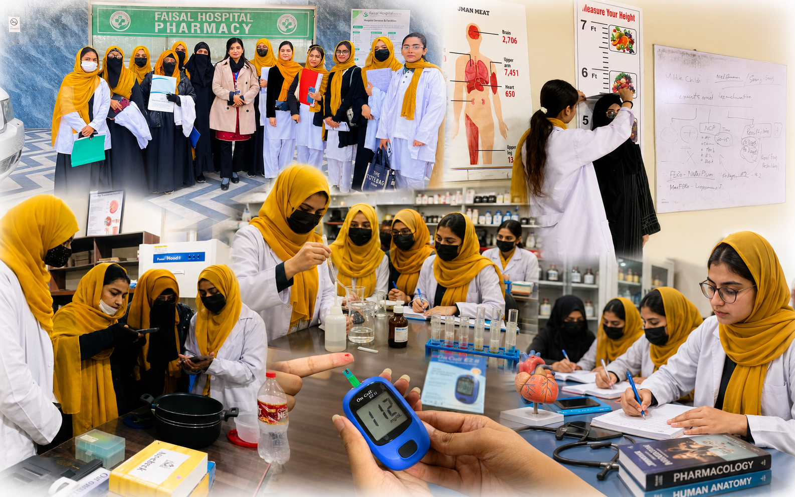 BS-HND (Human Nutrition and Dietetics)